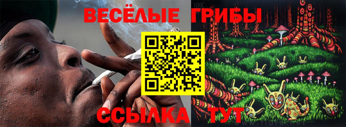 Галлюциногенные грибы Cubensis  Псилоцибиновые грибы Psilocybe  Вход с VPN  Каменск-Шахтинский 