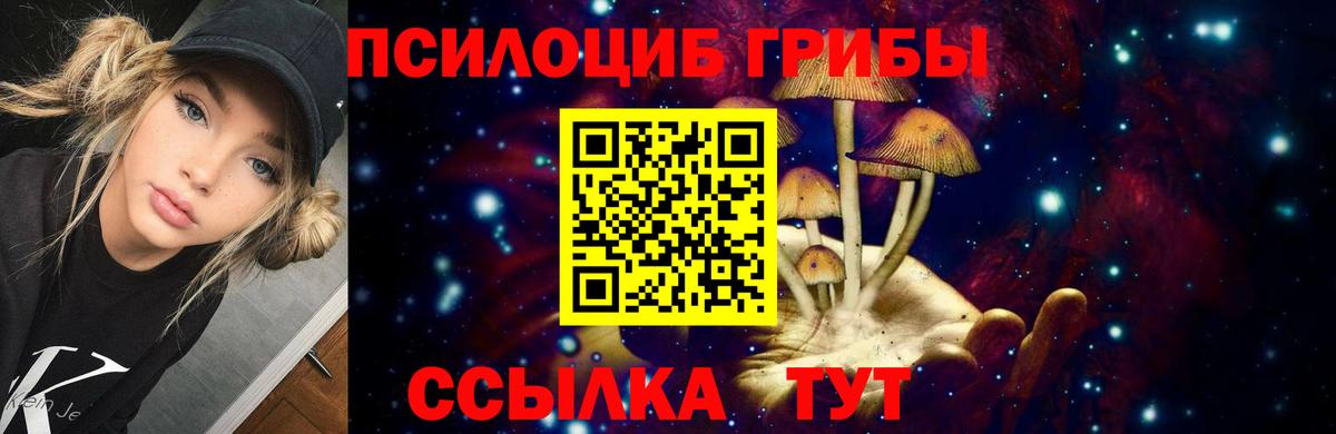 Галлюциногенные грибы мицелий Каменск-Шахтинский